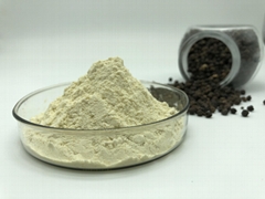 CAS 26908-38-3  5-deazaflavin