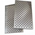 Fisheye Hole Skid Plate