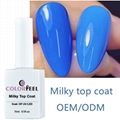 No Wipe Milky Top Coat