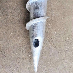 ground screw