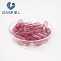 Titanium Dioxide-Free Empty Capsules TiO2 free Nutral Pigment OEM/ODM