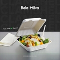 Food Packing Bagasse