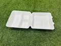 Food Packing Bagasse
