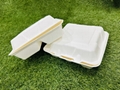 Food Packing Bagasse 4