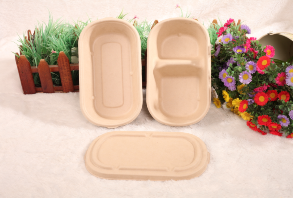  eco-friendly and degradable tableware, disposable  plates, and lunch boxes. 4