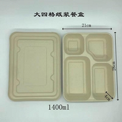  eco-friendly and degradable tableware, disposable  plates, and lunch boxes.