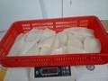Illex squid tubes