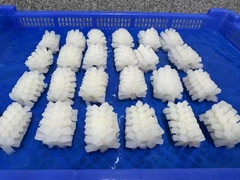 squid flower/carvings