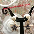 2025 earrings Stud arring rops hoop earrings