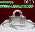 2025 Ultra-mini snake-skin bag 