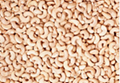 Raw Cashew Nuts 2