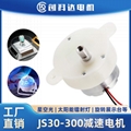 JS30-300直流减速电机塑胶齿轮牙箱星空灯旋转展示台300减速马达
