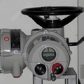 羅托克rotork電動執行機構