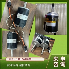 Rotork motor