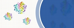 UBIQUITIN ASSAY KIT
