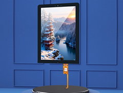 10.1 Inch TFT LCD Display