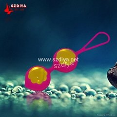 Benwa Ball Smart ball Geisha Vaginal Vagina Trainer Tighter Sex Toy