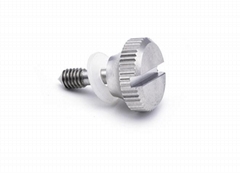 Big Head Screws
