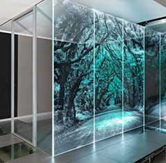 Laser Engraved Glass
