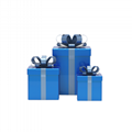 Coloured Mailing Packaging Boxes 3