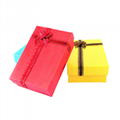Coloured Mailing Packaging Boxes 4