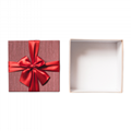 Coloured Mailing Packaging Boxes 5