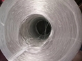 Pultrusion roving