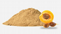 Apricot Kernel Powder