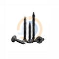 Customized Black Drywall Screws Various Specifications 5