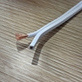 Professional High End HiFi Speaker Wire/Speaker CABLE 16AWG 3