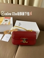 celine bag triomphe