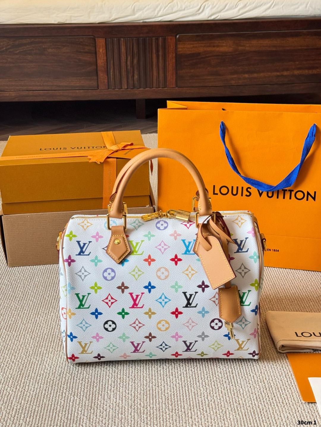 LV Speedy Bag