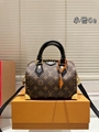 LV Speedy Bag