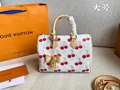 LV Speedy 30 bag