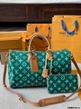 LV Speedy bag