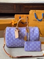 LV Speedy bag