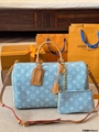 LV Speedy bag