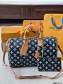 LV Speedy bag
