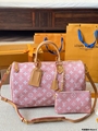 LV Speedy bag