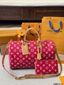LV Speedy bag