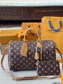 LV Speedy bag
