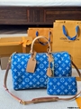 LV Speedy bag