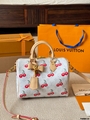 LV Speedy bag