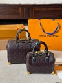 LV Speedy bag