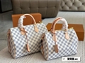LV Speedy bag
