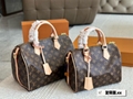 LV Speedy bag