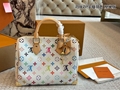 LV Speedy bag