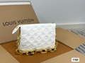 LV Coussin Bag