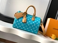 louis vuitton speedy