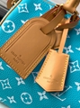 louis vuitton speedy